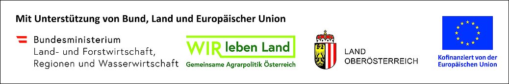 Die Projektgruppe erarbeitete Grundlagen für die Entwicklung der Ortskerne und Leerstände in den Gemeinden Lembach, Hofkirchen und Niederkappel. (v.l.n.r) Günter Peherstorfer (Amtsleiter Lembach), Christoph Artner-Sulzer (Regionalmanagement OÖ), Daniel Paster (Amtsleiter Niederkappel), Architekt Richard Steger (Architekturfachgeschäft), Bgm. Josef Wögerbaucher (Niederkappel), Mag. Johannes Brandl (SPES Zukunftsakademie), Bgm.in Nicole Leitnmüller (Lembach), Thomas Neundlinger (Amtsleiter Hofkirchen), Bgm. Martin Mairhofer (Hofkirchen), Herbert Ortner (Lembach), Architektin Maria Hamann (SPES Zukunftsakademie), Vzbgm. Reinhard Richtsfeld (Lembach)
